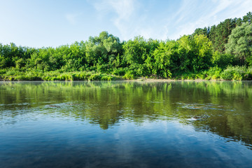 Calm river with forest on the shore