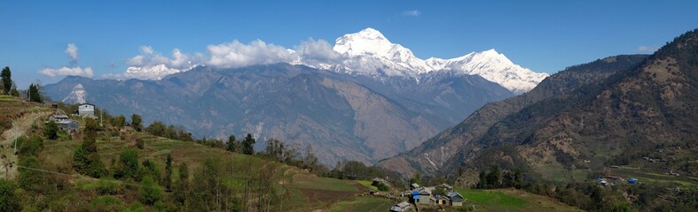 Landschaft mit Bergen und Wald