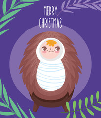 baby jesus in the crib manger nativity, merry christmas