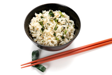 野沢菜ごはん