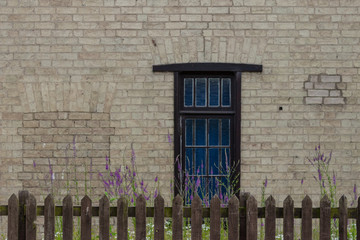 Brick wall fasade with purple window and flowers behind dark wooden fence background 