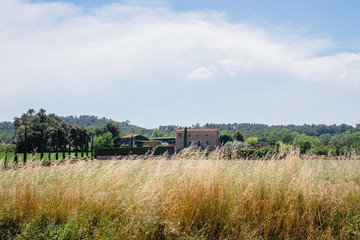 landscape, sky, field, nature, grass, summer, countryside, green, blue, meadow, rural, clouds, cloud, country, road, tree, horizon, farm, agriculture, autumn, panorama, forest, trees, beautiful, villa