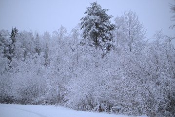 Hiver neige Kuopio Finlande voyage vacances trip