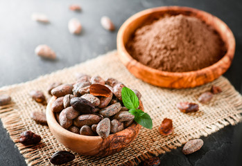 Fototapeta premium Cocoa beans with mint on jute side view. Cacao powder in wooden bowl blure in background. Panorama or banner concept.