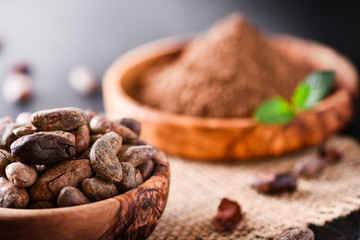 Cocoa beans with mint on jute side view. Cacao powder in wooden bowl blure in background. Panorama or banner concept.