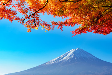 紅葉の河口湖　もみじトンネルから見る富士山