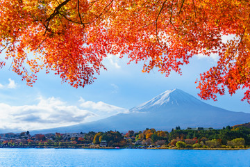 紅葉の河口湖　もみじトンネルから見る富士山
