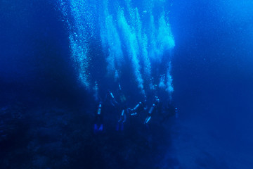 Fototapeta na wymiar scuba divers in the deep blue ocean