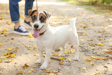 Woman walking with her cute dog in park