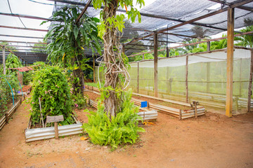 Farmers are checking the product.