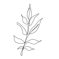 One line leaf vector drawing. Botanical Continuous line Contour illustration