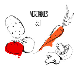 Vector vegetables set hand drawn icon