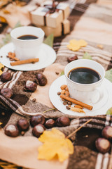 Autumn picnic with coffee and cookies.