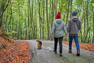 Fototapeta premium a couple walking the dog in the woods one autumn afternoon, they are on their backs