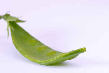 Snow pea isolated on a white background