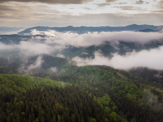 Aerial view of mist, cloud and fog hanging over a lush rain forest after a storm