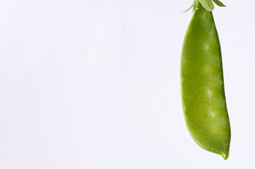 Snow pea isolated on a white background