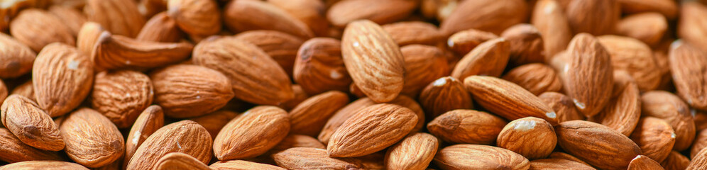 Almond nuts wide banner or panorama. Pile of nuts background.