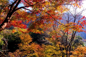 深耶馬の紅葉