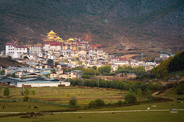 Songzanlin Temple also known as the Ganden Sumtseling Monastery, is a Tibetan Buddhist monastery in...