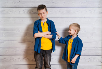 Two cheerful boys in blue shirts and yellow t-shirts posing together in studio. Portrait of two...
