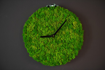 Natural lichen grassed clock on wall with toy car on top