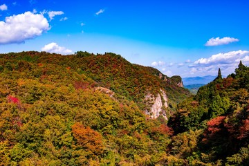 日出生台ダムの紅葉