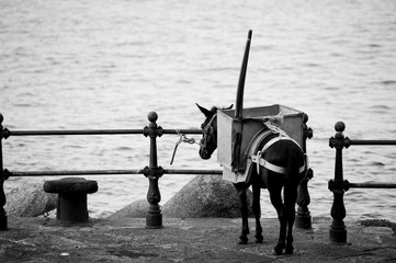Amalfi costa amalfitana 