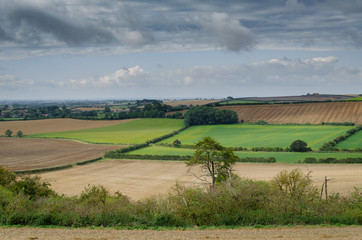 landscape with field and blue sky