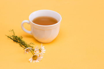 Chamomile tea in a white tea cup and chamomile flowers, yellow background.