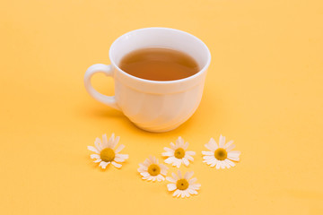 Chamomile tea in a white tea cup and chamomile flowers, yellow background.
