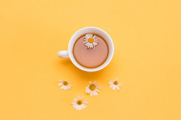 Chamomile tea in a white tea cup and chamomile flowers, yellow background.