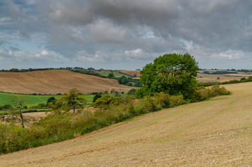 Fototapeta premium Lincolnshire wolds