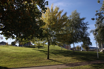Park in the suburbs of Bilbao