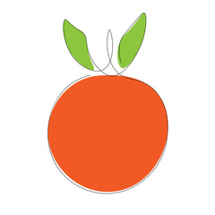 Orange icon, fruit continuous line drawing vector illustration	
