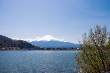 Landscape of Fuji mt. with snow cap at Kawaguchiko lake, Japan