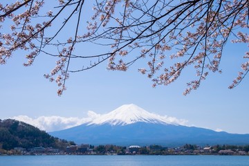 Landscape of Mountain Fuji with snow cap and cherry blossom branch under blue sky at Kawaguchiko lake, Fujiyoshida Japan