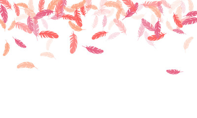 Fluffy twirled feathers on white design.