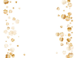 Gold seashells vector, golden pearl bivalved mollusks. 