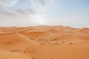 Fototapeta na wymiar Beautiful desert landscape and caravan of camels crossing the scene in the background.