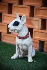 Animal shaped pottery for home decor