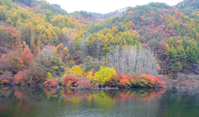 호수에 비치는 가을 풍경