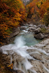 course of a river passing through orange-leafed trees in a high autumn mountain forest