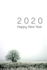 happy new year 2020. winter landscape. alone tree