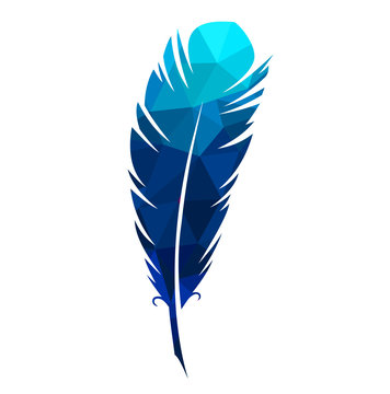 Vector illustration colored colorful magical bird feather pen writer writing