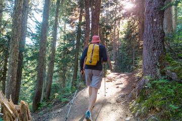 Hike in the forest