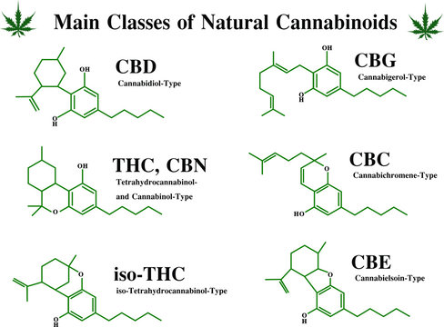 Main classes of natural cannabis skeleton chemist structure of CBD, THC, CBN, iso-THC, CBG, CBE, CBC , Cannabigerol, Cannabichromene, Cannabidiol, Tetrahydrocannabinol, Cannabinol, Cannabielsoin