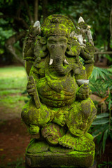 Fototapeta na wymiar Moss Ganesh