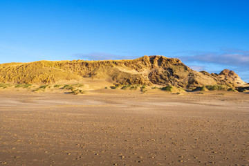 Fototapeta na wymiar Dünen am Strand von Egmond aan Zee/Niederlande