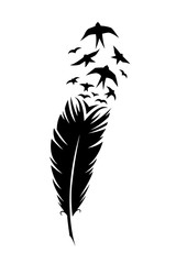 Print art concept colorful design tattoo black feather flying birds swallows silhouette. Vector illustration fly magical pen writer writing © Aliaksei Chernev